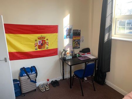 Raglan Road, Hyde Park, LS6 - Photo 4