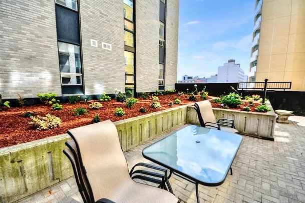 169 Lisgar Street, Centretown, Ottawa, ON - Photo 1