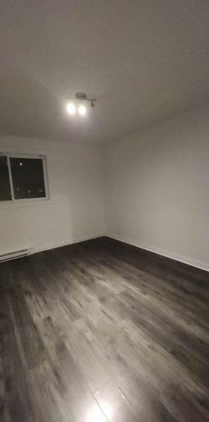 4 1/2 avec 2 chambres. Chat accepté - Photo 1