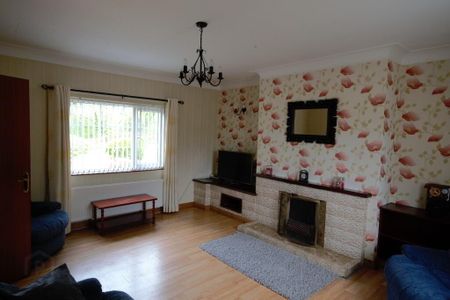 102 Braden Road, Drumquin, BT78 4QJ - Photo 3