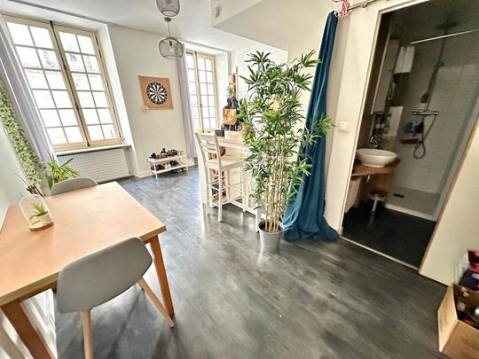 Location Appartement 2 pièces Meublé 44m² NANTES 44000 - Photo 1