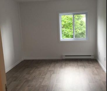 GRAND 3 ½ - ENTIÈREMENT RÉNOVÉ , 1165$/MOIS TOUT COMPRIS! DISPONIBL... - Photo 1