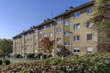 2-Zimmer-Wohnung mit Balkon in Bad Bergzabern mieten - Photo 3