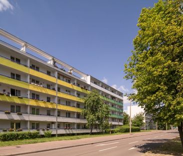 Individuelle 3 Zimmer-Wohnung in Halle - Sanierung nach Ihren Wünschen - Photo 1