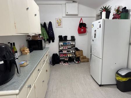 large 3 bedroom sunny apartment in Mt Vic - Photo 4