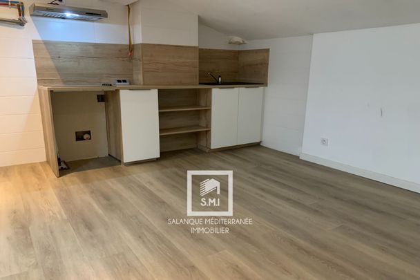 Location Appartement 1 pièce 21m² PERPIGNAN 66000 - Photo 1