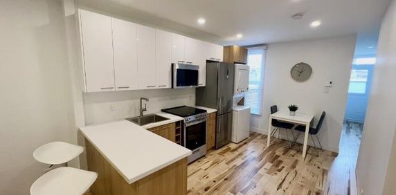 3 1/2 - Montréal (Hochelaga / Maisonneuve) - 1 350 $/mois - Photo 2