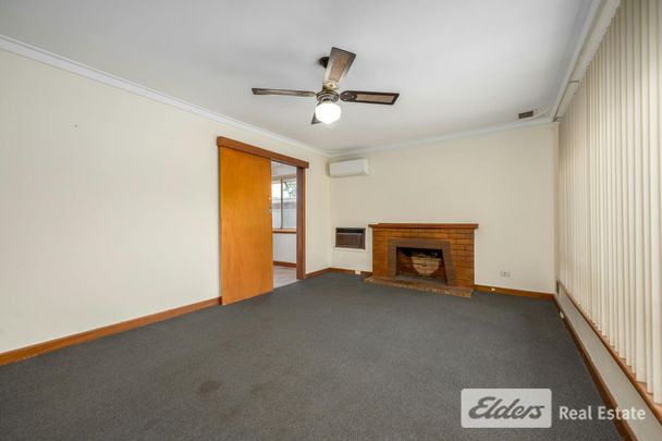 Light Filled Character Home with Awesome Secure Yard - Photo 1