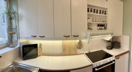 Doktor Liborius Gata, Göteborg - Photo 5