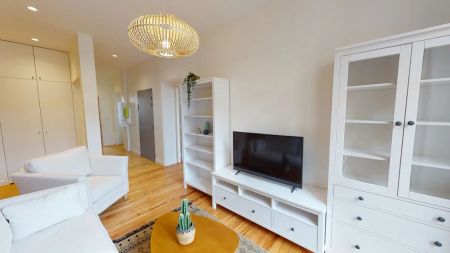 18 rue Bellegarde 18, Toulouse - Photo 4