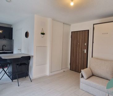 Location Appartement 1 pièce 25m² OBERNAI 67210 - Photo 2