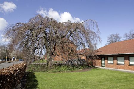 Apotekervænget, 20 2. tv., Sakskøbing, 4990 - Photo 2