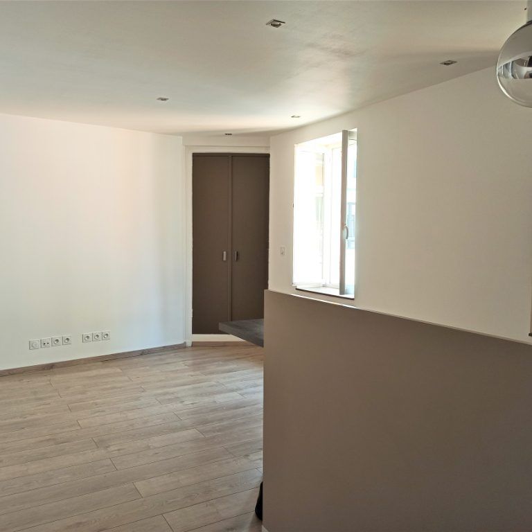 Location Appartement 1 pièce 27m² VIENNE 38200 - Photo 1