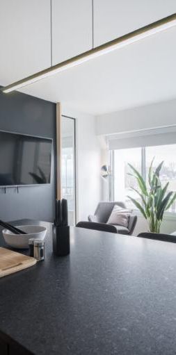 3 ½ entièrement meublé à louer Saint-Jean-Baptiste janvier 2026 - Photo 1