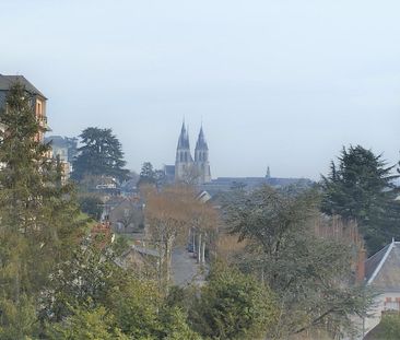 Location Appartement 2 pièces 61m² BLOIS 41000 - Photo 5