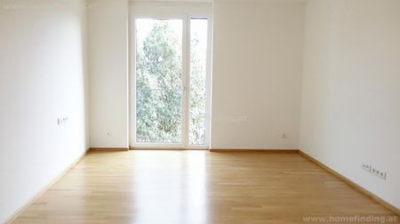 sonnig, 4-Zimmer-Balkonwohnung / Allgemeingarten - befristet - Foto 4