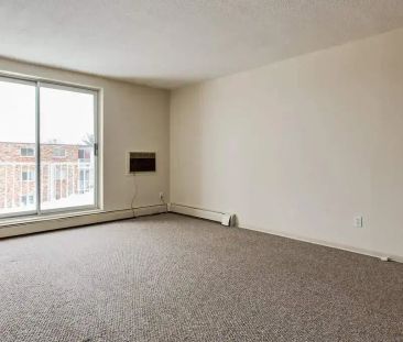 1 Bedroom - Photo 2