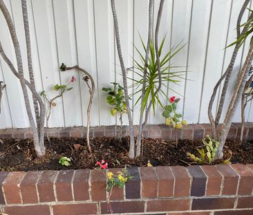 Lalor Park - Photo 6