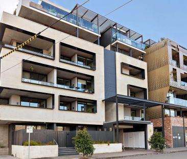 Little Miller Sustainable Lifestyle - Photo 3