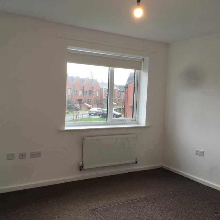 The Alston - Photo 1