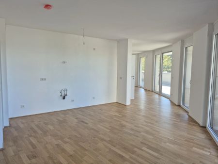 3 Zimmer mit großer Freifläche! - Foto 2