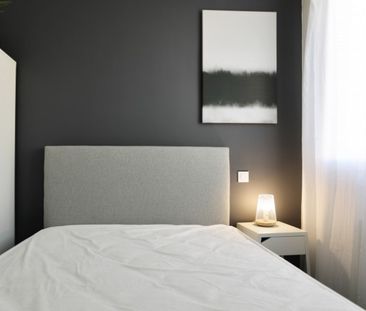 BRAVES Roommate 4 Bedrooms at Toulouse - Photo 2