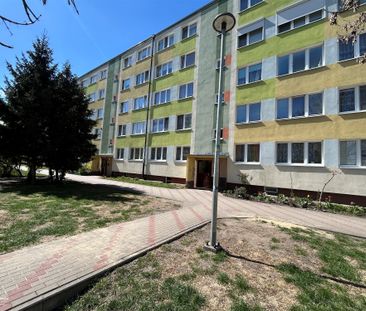 Grudziądz, Kopernika Mieszkanie na wynajem - Фото 3