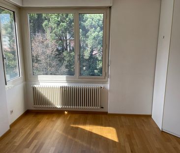 2.5 Zimmer, 3. Stock - Photo 6