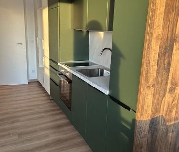 Pronájem bytu 1+1 • 28 m² bez realitky, Bádensko-Württembersko - Photo 6