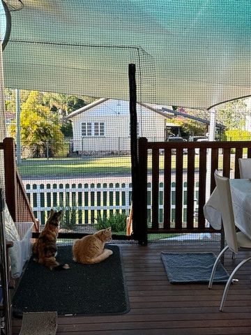 Mount Gravatt East - Photo 5