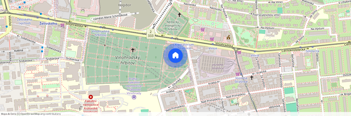Vinohradská, Praha - Strašnice