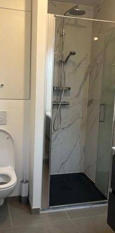 Location appartement récent 1 pièce 26.39 m² à Argonay (74370) 5 - Photo 1