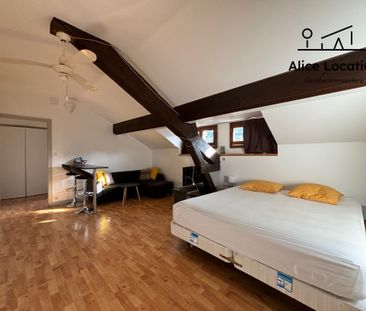 Location Appartement 2 pièces 30m² EVIAN LES BAINS 74500 - Photo 1