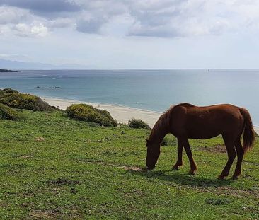 Piso de alquiler en Calle Cortijo de las Aguzaderas, 5, La Alcaidesa - Photo 3