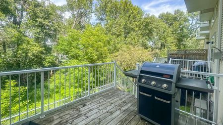 Bright, Cozy Home With Nature Views And Modern Touches. - Photo 4