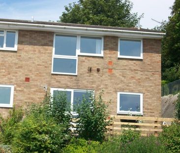 Hawthorn Road, Hastings - Photo 6