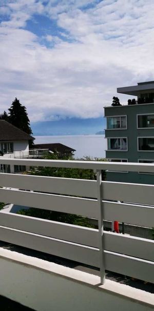 1-room studio (furnished) for rent in the center of Hergiswil. - Foto 1