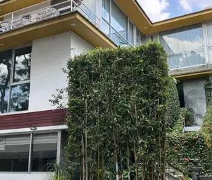 Se renta increíble Townhouse en una de las mejores zonas del Sur de la Ciudad. - Photo 1