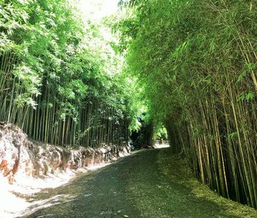 1016B Bells Line Of Road, Kurrajong Hills NSW 2758 - Studio For Ren... - Photo 5