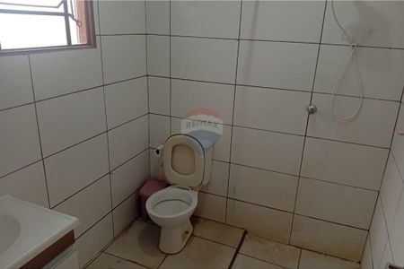 Casa c/ 2 Quartos, Suíte e Garagem no Jardim Pinheiro - Foto 4