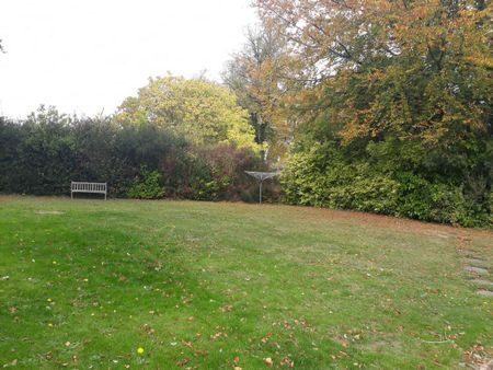 Studio to rent - Photo 5