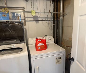 For Lease - 220 Mammoth Hall Trail Unit# Bsmt, Toronto, Ontario - Photo 6