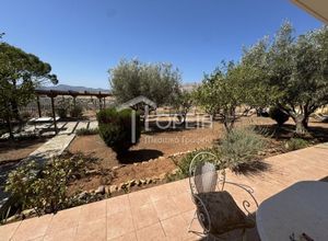 Διαμέρισμα για ενοικίαση - Καλύβια Θορικού, - Photo 2