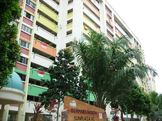 Blk 423 SUN PLAZA GARDENS (Tampines), HDB 4 Rooms - For Rent - Photo 1