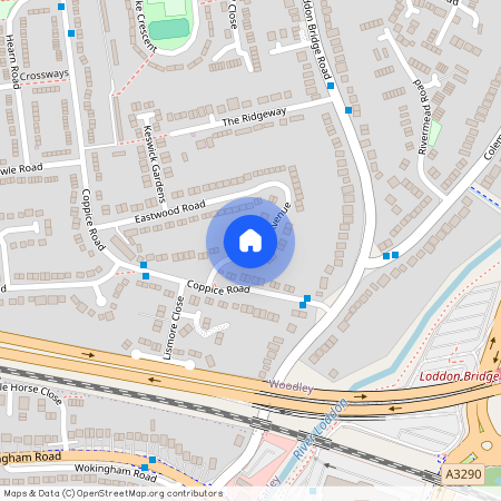 Munro Avenue, Reading, RG5