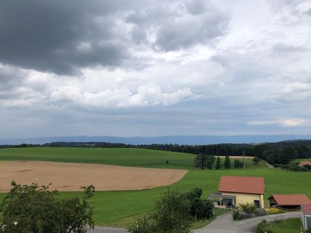 SPACIEUX & LUMINEUX 3½ PIECES - Photo 2