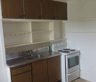 THREE BEDROOMS - HOKOWHITU - Photo 5