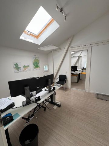 Hochwertige Wohnung in Villa im Mühlwegviertel - Photo 2