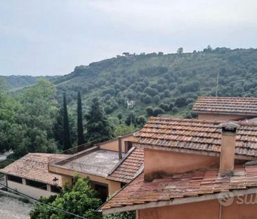 Mentana bilocale con balcone - Photo 4