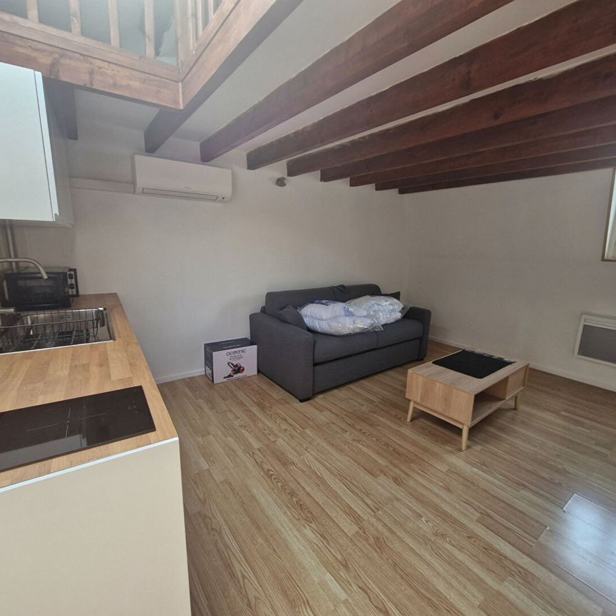 Location Appartement 1 pièce 20m² - Photo 1